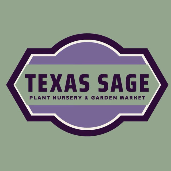 Texas Sage
