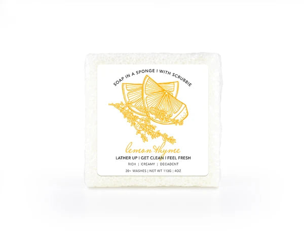 Soap Sponge